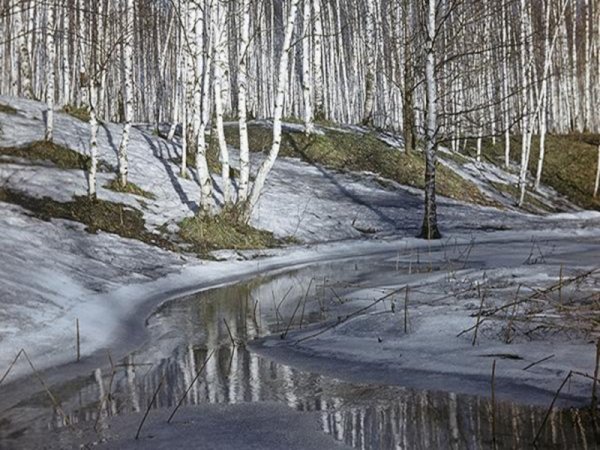 Весна на Патриарших Обуховского Юрия