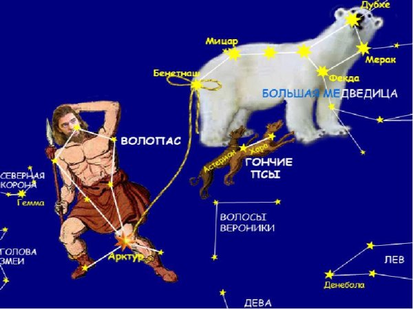 Созвездие большой медведицы и малой расположение