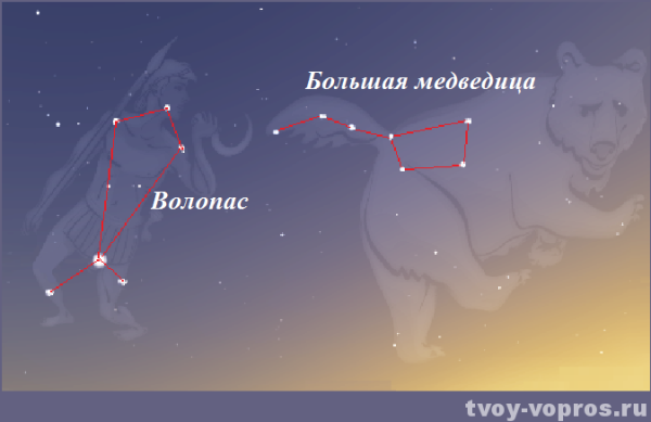 Созвездие малой медведицы схема
