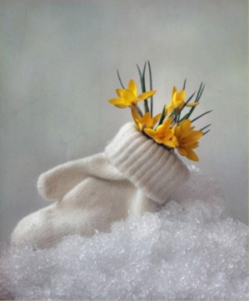 С добрым утром Весна