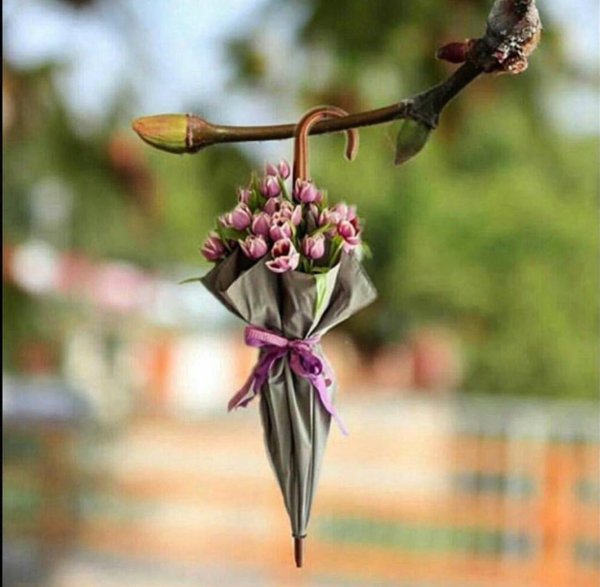 Доброго весеннего утра смешные