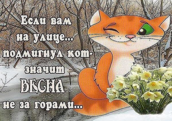 Февральское утро скоро Весна