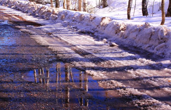 Трава зимой