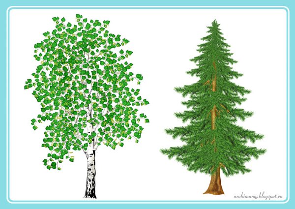 Нарисовать ель
