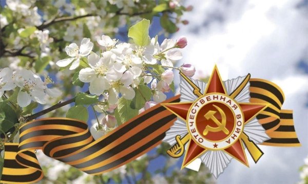 Сирень и Георгиевская лента