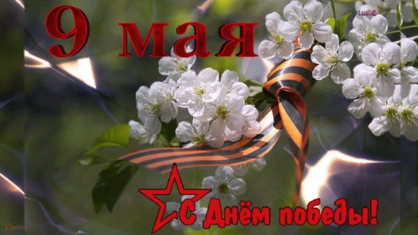 Сирень день Победы