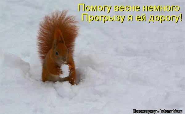 Зимние приколы с надписями