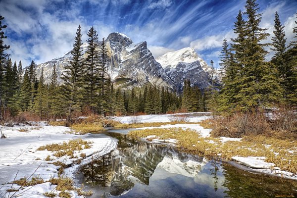 Весенний пейзаж