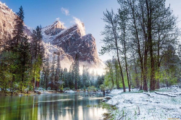 Йосемити парк деревья