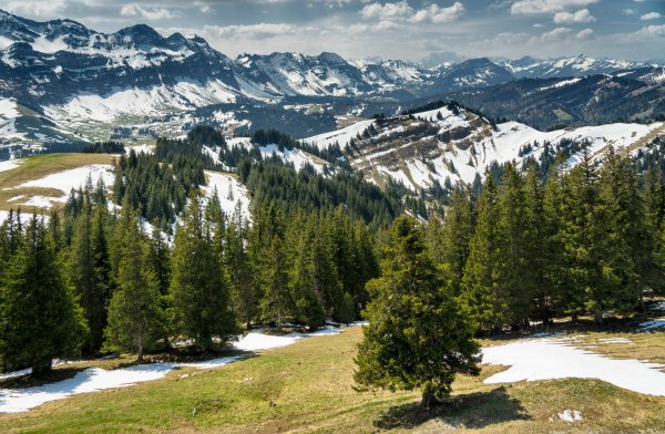 Ранняя Весна в горах природа