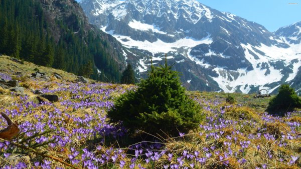 Весна в горах
