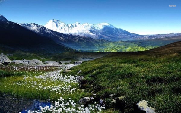 Швеция Альпийские Луга