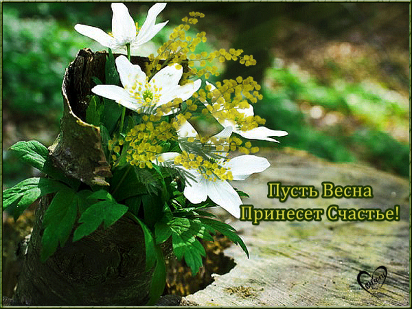 Счастливой вам весны