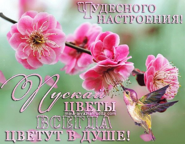 Пусть в душе всегда цветет Весна