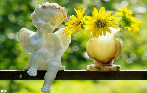 Утро счастье радость