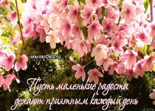 Радостных дней и прекрасных мгновений