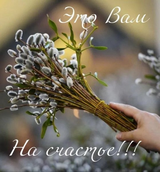 Верба в руках