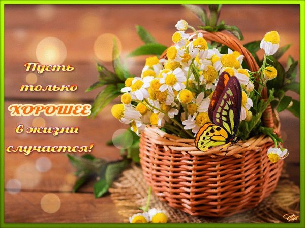 Желаем радости тепла