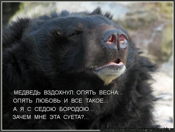 Опять Весна опять Грачи опять не даст