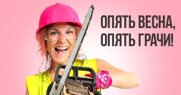 Опять Весна опять Грачи опять один