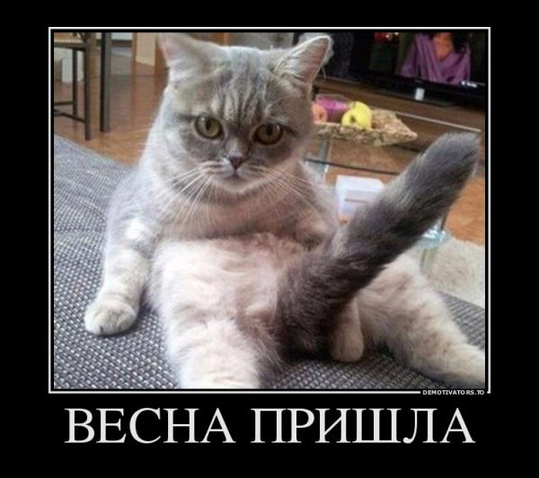 Опять Весна опять Грачи опять