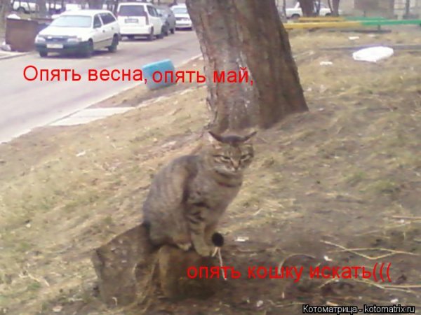 Весна опять Весна