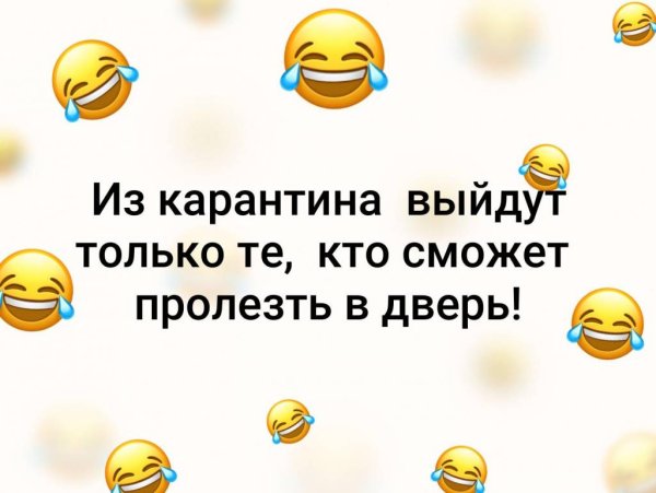 Вышли из карантина
