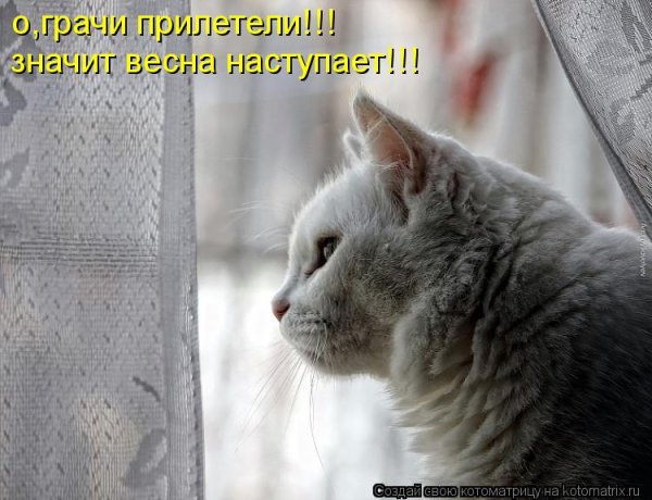 Красивые стихи о весенних ручейках