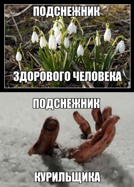 Холодная Весна приколы