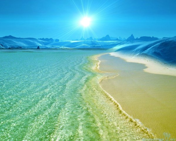 Желтое море