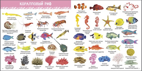 Морские обитатели список для детей