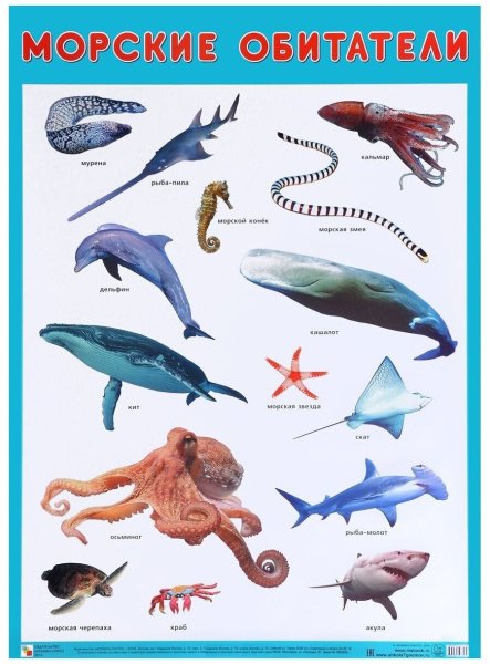 Морские обитатели названия
