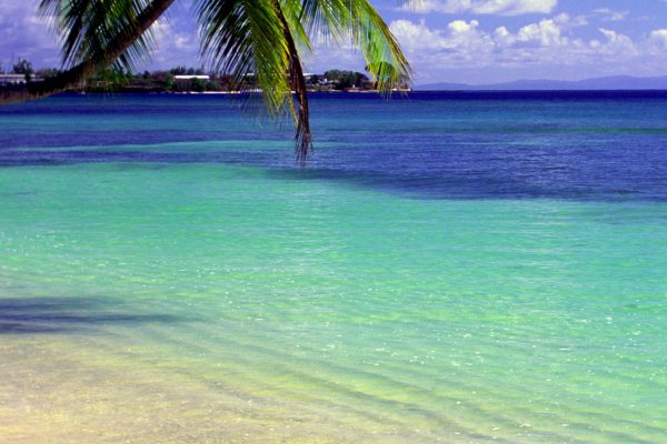 Атлантический океан Карибы