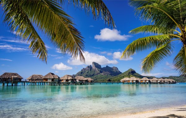 Атлантический океан Карибы