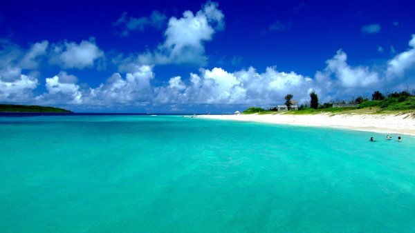 Море пляж пальмы