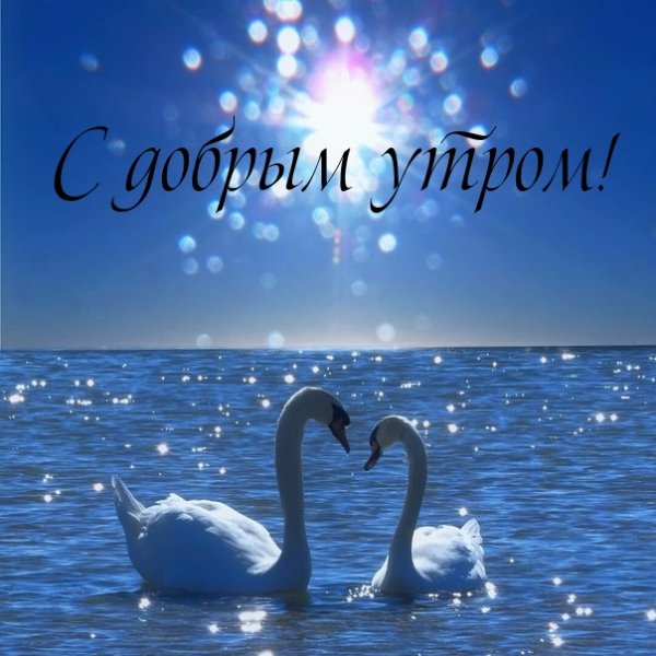 Морские поздравления с добрым утром