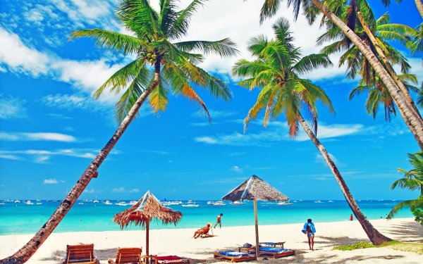 Пляж с пальмами