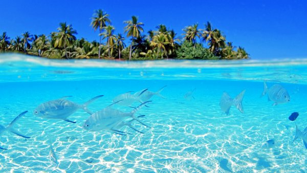 Побережье океана