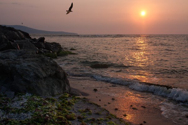 Черное море