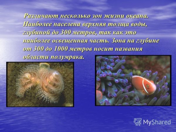 Богатства океана