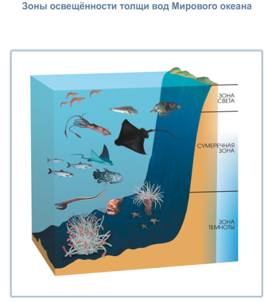 Кембрийский ордовикский силурийский