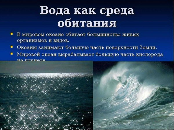 Организмы водной среды обитания