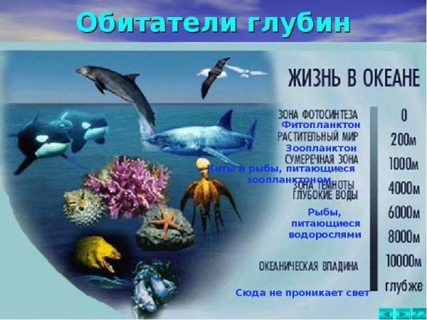 Уровни глубины океана