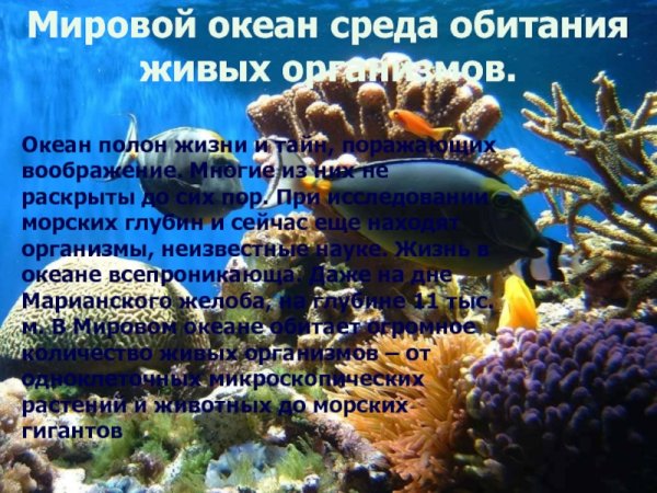 Донное сообщество обитатели