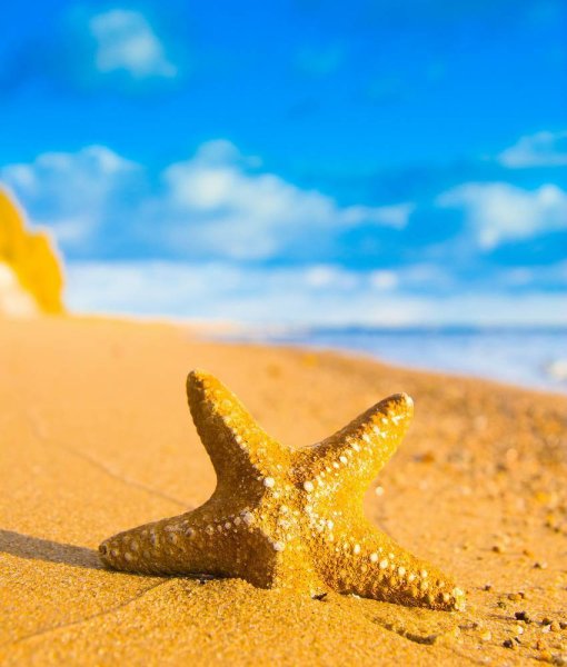 Коктейль на пляже