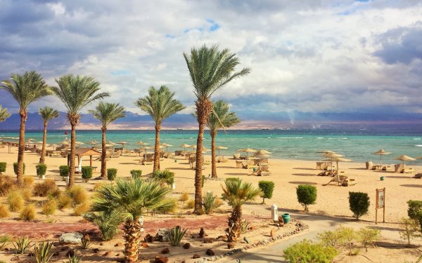 Каир Шарм-Эль-Шейх