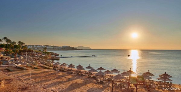 Эль Фараана риф Шарм-Эль-Шейх