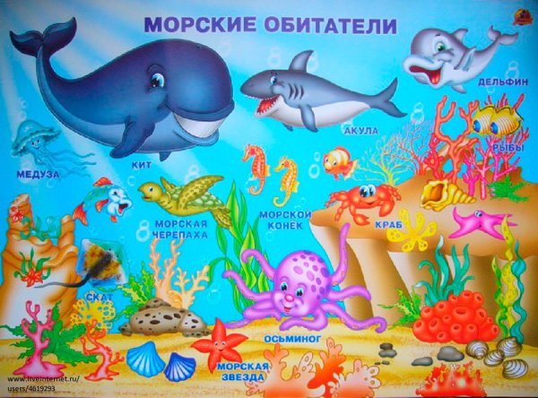 Обитатели моря для детей