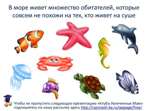 Морские жители для дошкольников