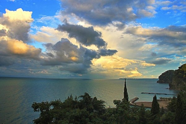 Черное море Абхазия Пицунда